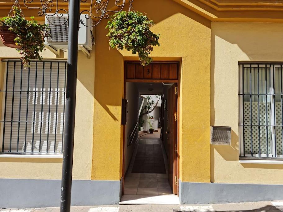 Apartamento centro Rota. 2 minutos de la playa.. Exterior foto